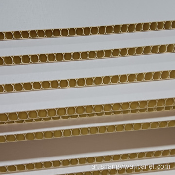 لوحة الحائط المدمجة راتنجات PVC في المنزل